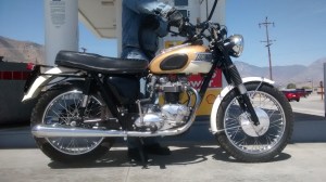 IMG_20150412_112644087